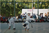 Taekwondo...Karate Kids of Grade 1 & 2